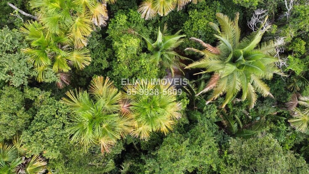 Chácara, 2 quartos - Foto 4