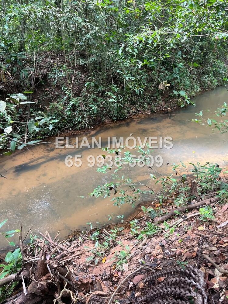 Chácara, 2 quartos - Foto 15