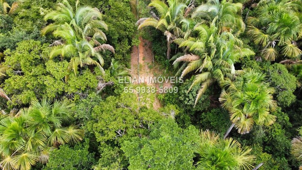 Chácara, 2 quartos - Foto 2