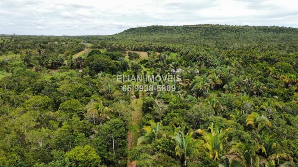 Chácara, 2 quartos - Foto 1