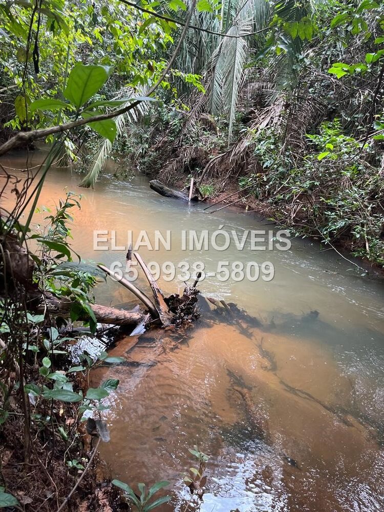 Chácara, 2 quartos - Foto 10