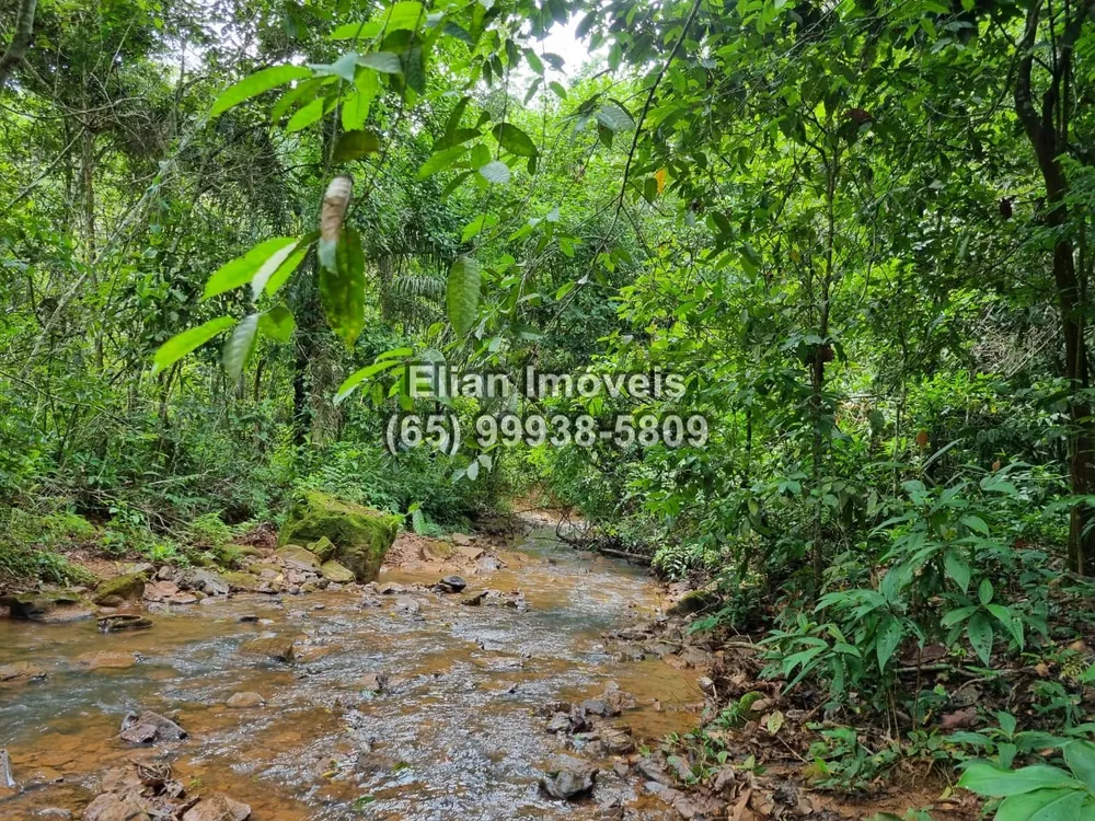 Terreno à venda, 50000m² - Foto 1