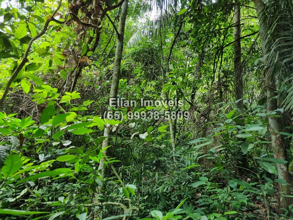 Terreno, 50000 m² - Foto 5