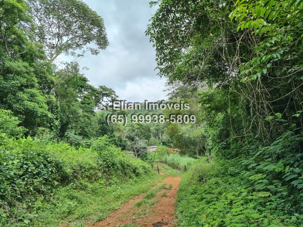 Terreno, 50000 m² - Foto 7