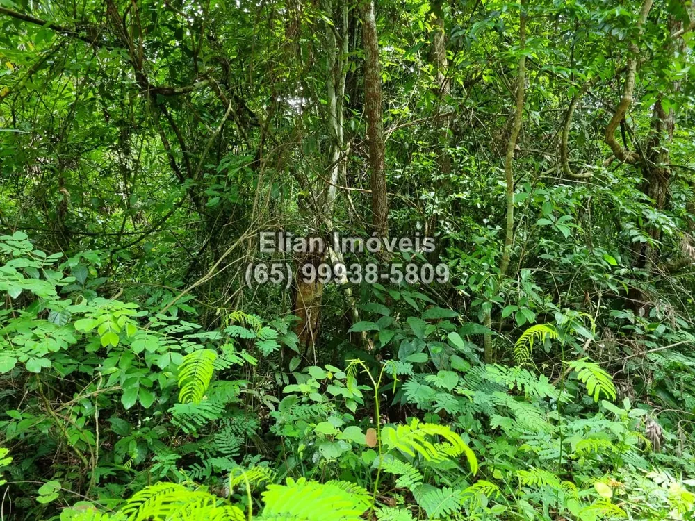 Terreno à venda, 50000m² - Foto 4