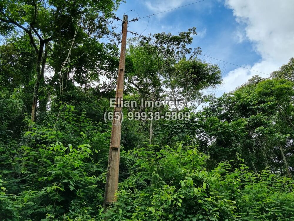 Terreno, 50000 m² - Foto 6