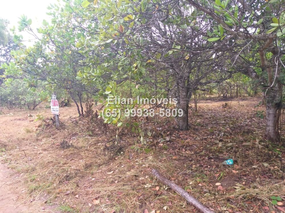 Terreno à venda - Foto 4