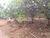 Terreno - Foto 4