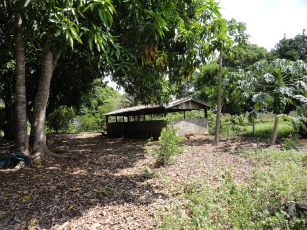 Sítio à venda com 3 quartos, 120m² - Foto 7