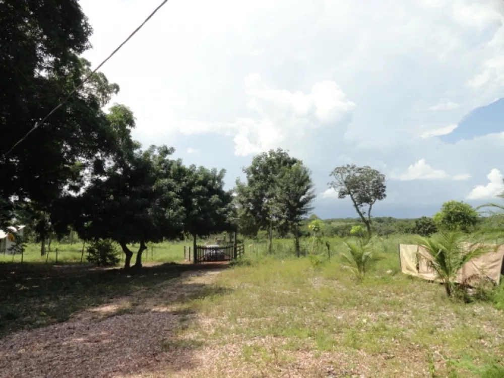 Fazenda à venda com 3 quartos, 120m² - Foto 3