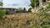 Terreno - Foto 7