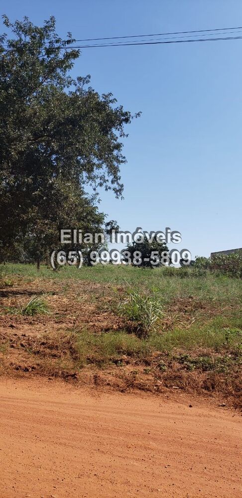 Terreno - Foto 2