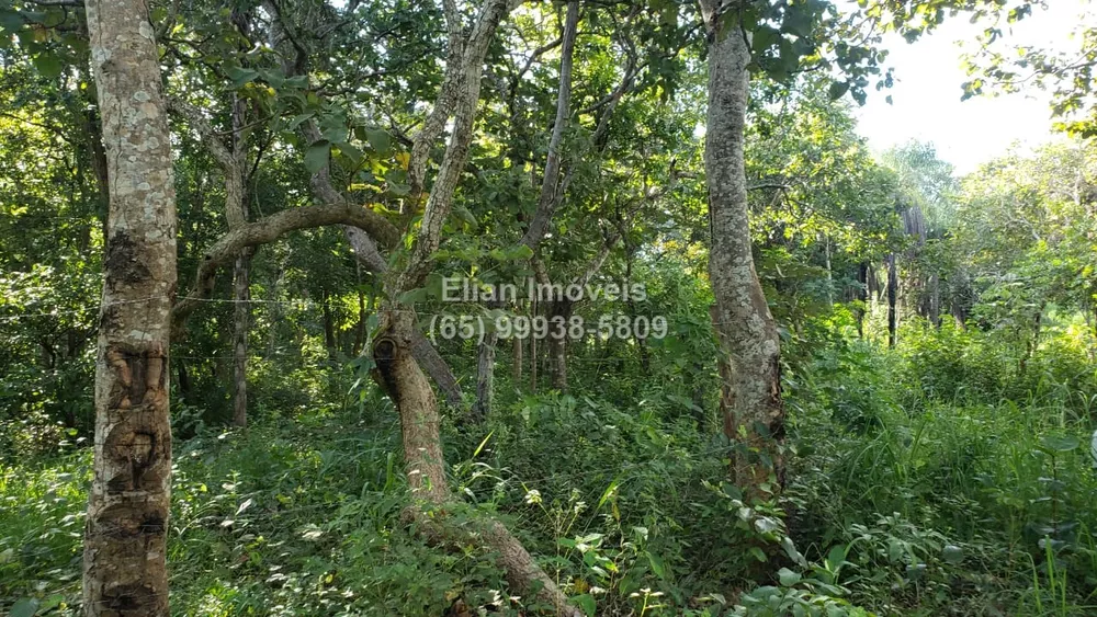 Terreno à venda - Foto 4