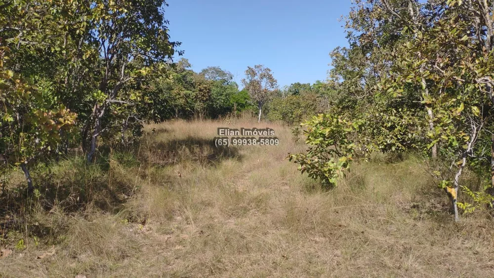 Fazenda à venda e aluguel, 17m² - Foto 4