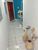 Apartamento, 2 quartos, 78 m² - Foto 3