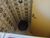 Apartamento, 3 quartos, 135 m² - Foto 4