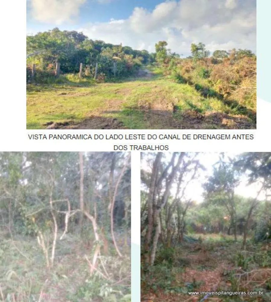 Terreno, 5 hectares - Foto 4
