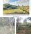 Terreno, 5 hectares - Foto 3