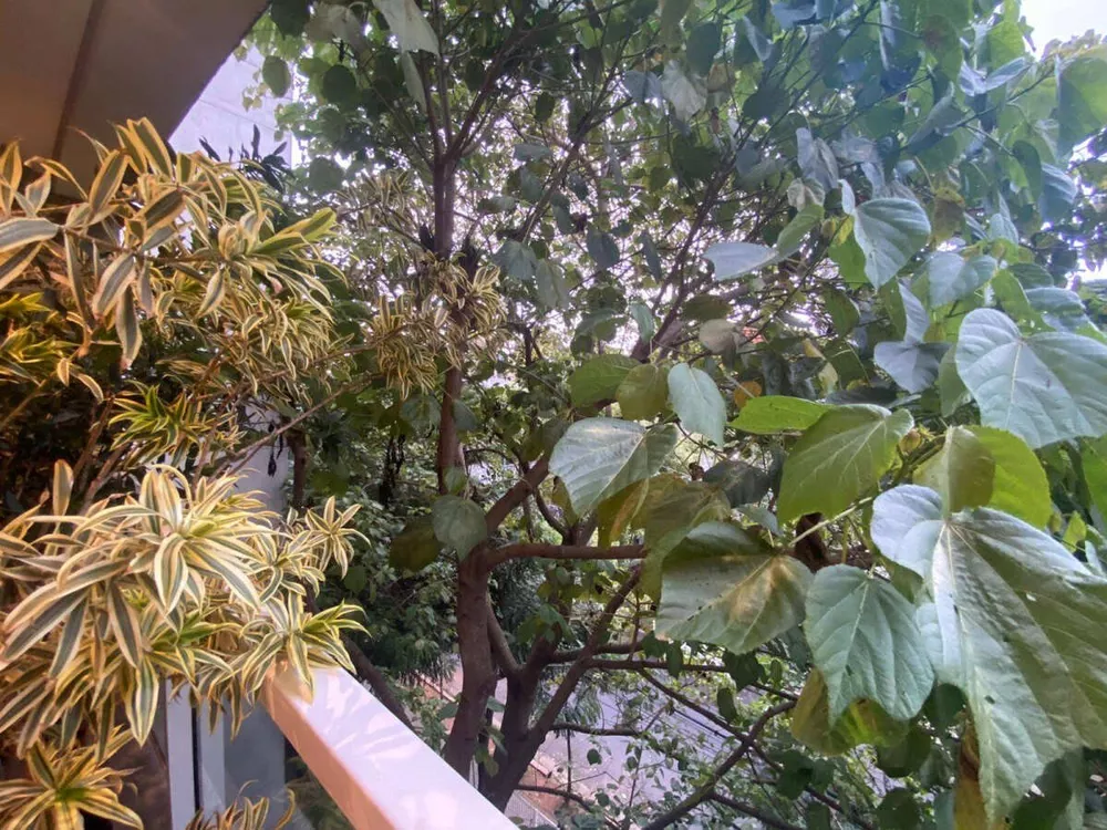 Sala-Conjunto, 46 m² - Foto 4