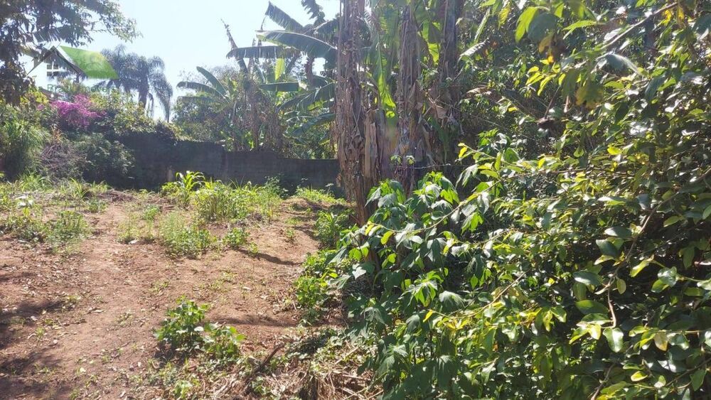 Terreno à venda, 200m² - Foto 6