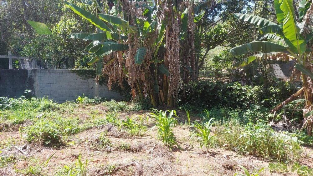 Terreno à venda, 200m² - Foto 8