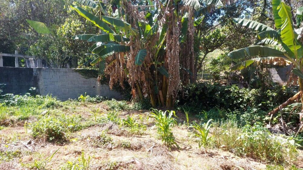 Terreno à venda, 200m² - Foto 5