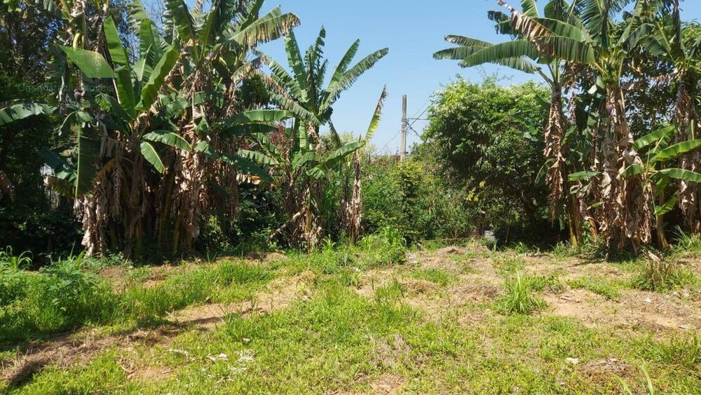 Terreno à venda, 200m² - Foto 4