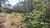 Terreno, 200 m² - Foto 6