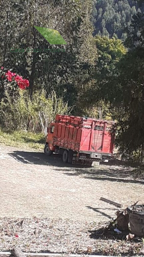 Sítio, 3 quartos, 121000 m² - Foto 12