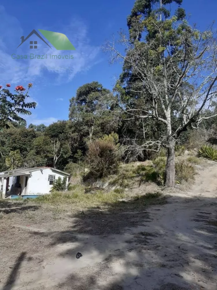 Sítio, 3 quartos, 121000 m² - Foto 10