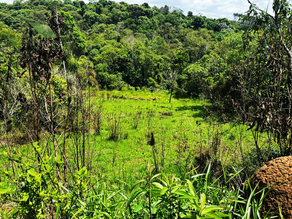 Chácara, 2 quartos - Foto 9