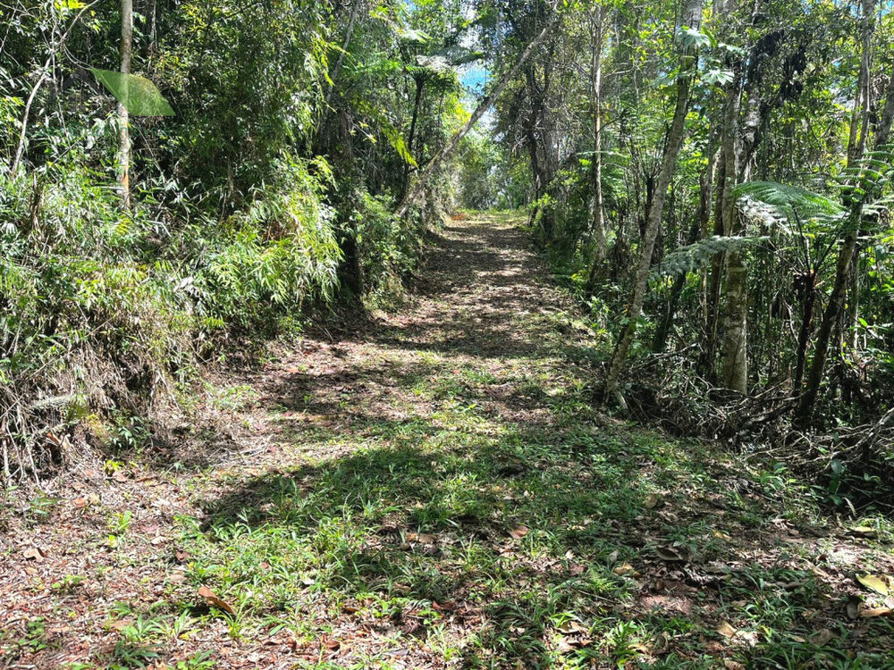 Chácara, 2 quartos - Foto 10