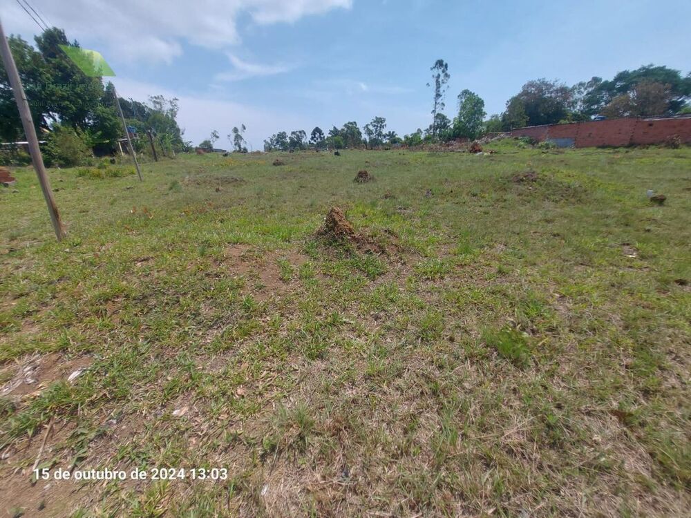 Terreno, 250 m² - Foto 2