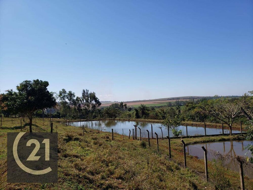 Sítio, 6 hectares - Foto 5