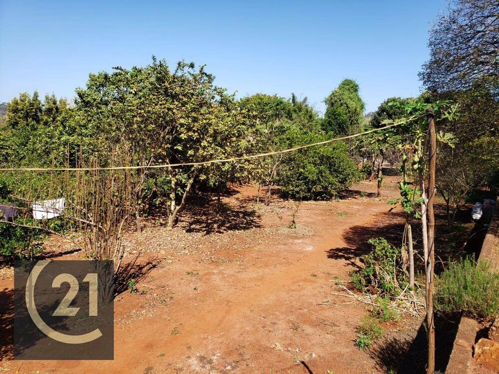 Sítio, 6 hectares - Foto 19