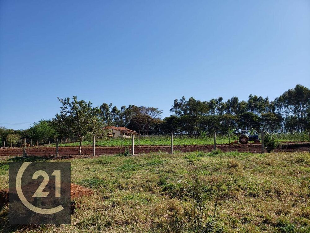 Sítio, 6 hectares - Foto 2