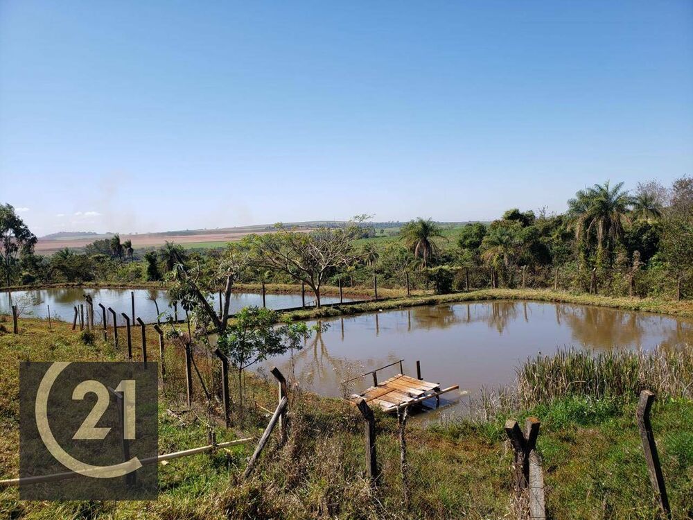 Sítio, 6 hectares - Foto 3