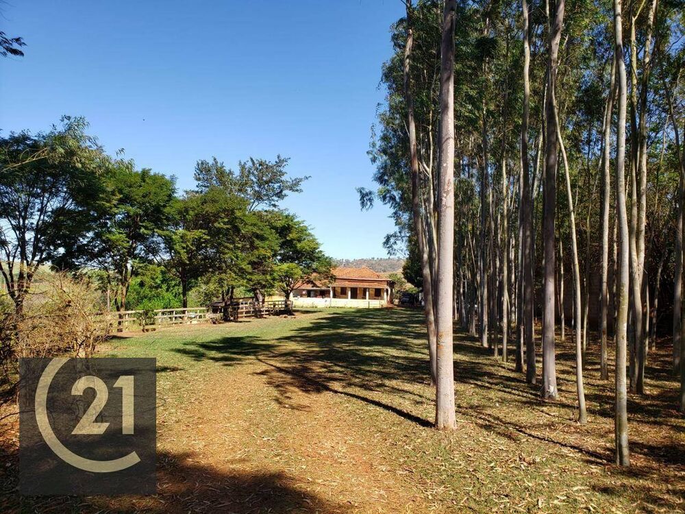 Sítio, 6 hectares - Foto 15