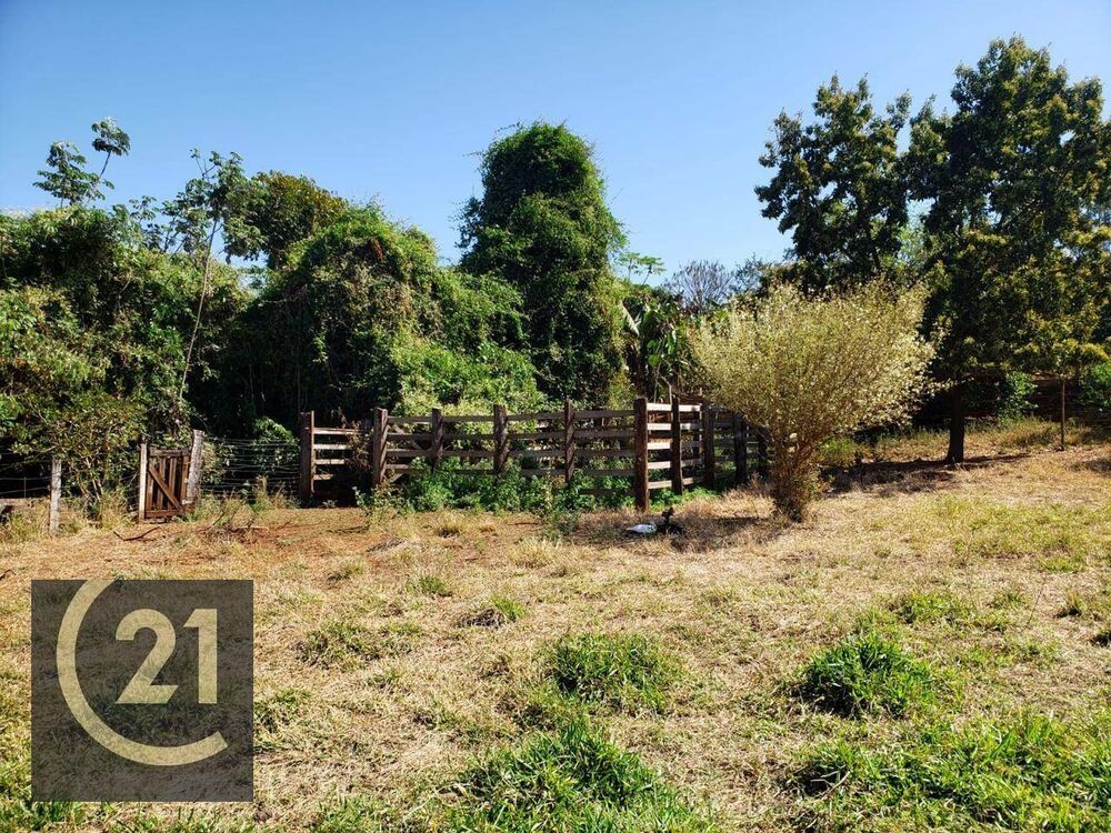 Sítio, 6 hectares - Foto 7