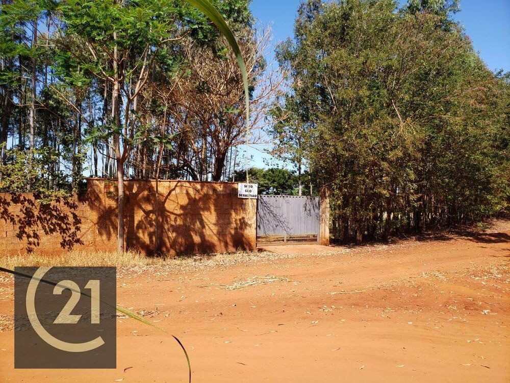 Sítio, 6 hectares - Foto 14