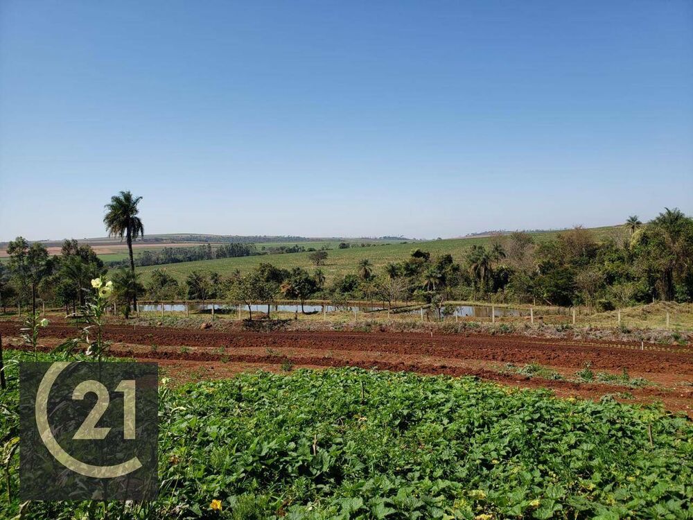Sítio, 6 hectares - Foto 6
