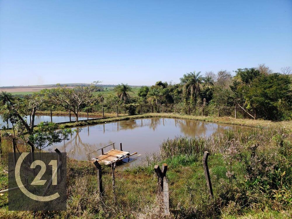 Sítio, 6 hectares - Foto 4