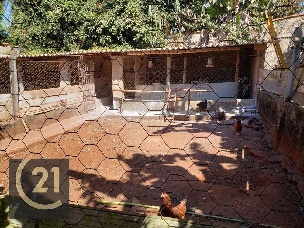 Sítio, 6 hectares - Foto 17