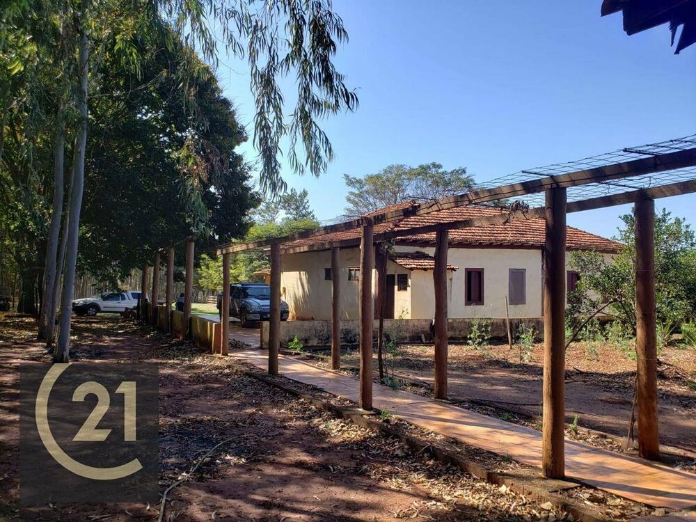 Sítio, 6 hectares - Foto 20