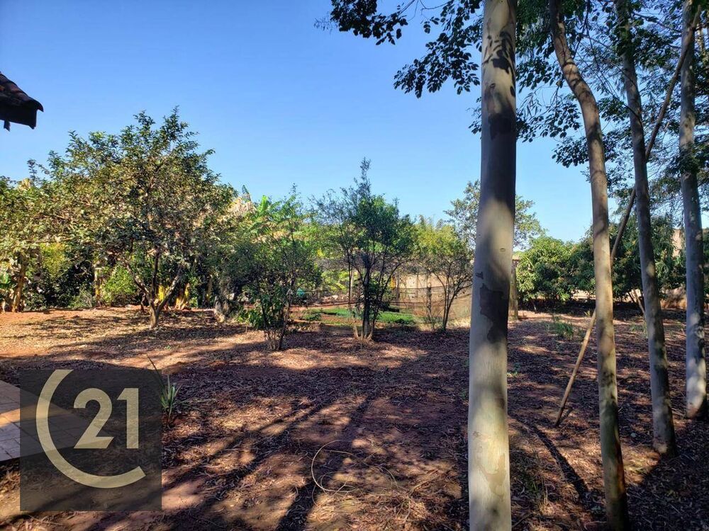 Sítio, 6 hectares - Foto 21