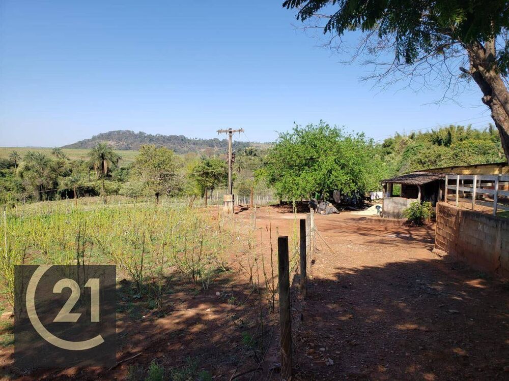 Sítio, 6 hectares - Foto 11