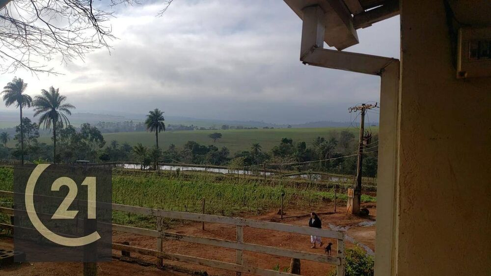 Sítio, 6 hectares - Foto 26