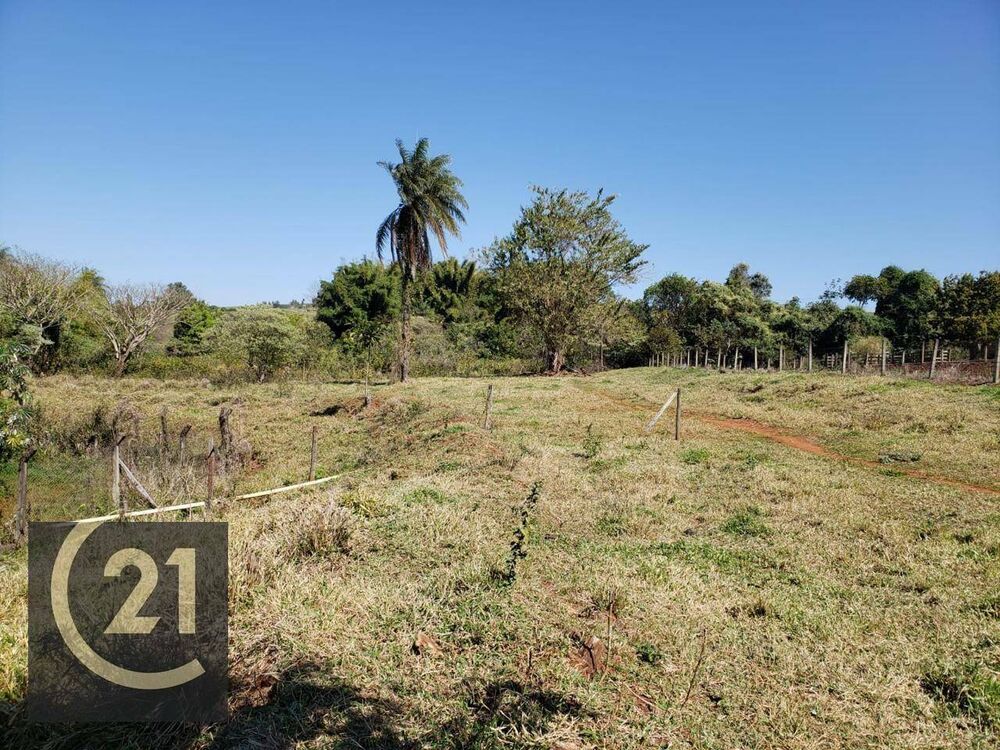 Sítio, 6 hectares - Foto 9