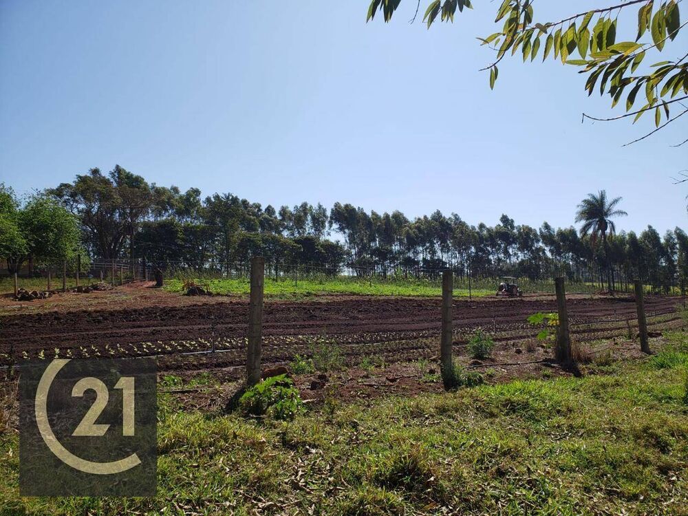 Sítio, 6 hectares - Foto 8