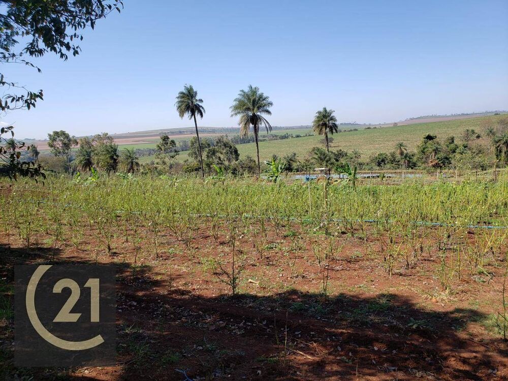 Sítio, 6 hectares - Foto 13